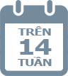 trên 14 tuần